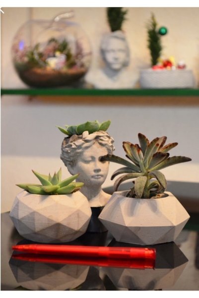CMHOME 3'lü Mini Helen Ve Geometrik Ham Beton Saksılar