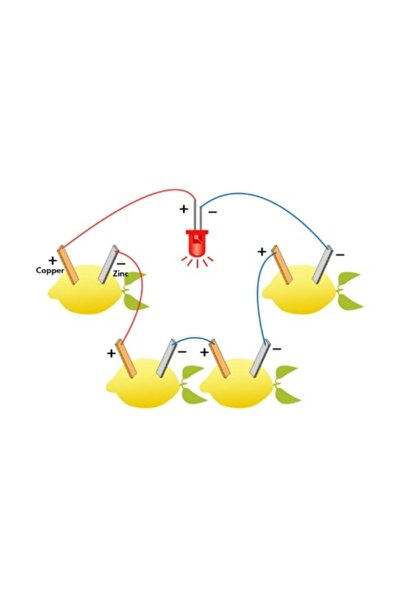 AVMmarketim Limon Deney Seti Limondan Elektrik Üretimi Yapım Seti Limon Pili