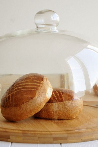 Mutfak Zamanı Focus Cake Storage Container 20 Cm Bsfc1