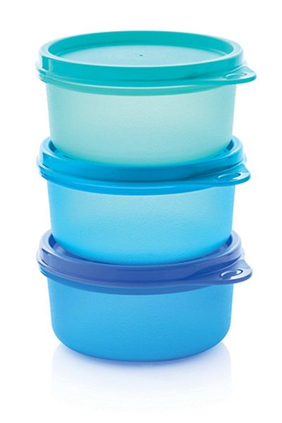 Tupperware Mini Refrigerator Storage Container 250 Ml Set of 3