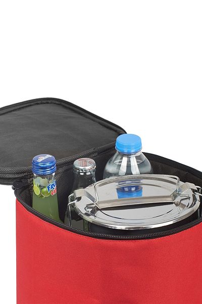 Ankaflex Mini Thermos Bag with Cold and Hot Holder Beach Picnic Bag with Ice Cooler Mini Beverage Bag