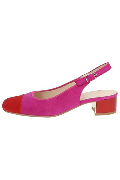 ARA Pumps