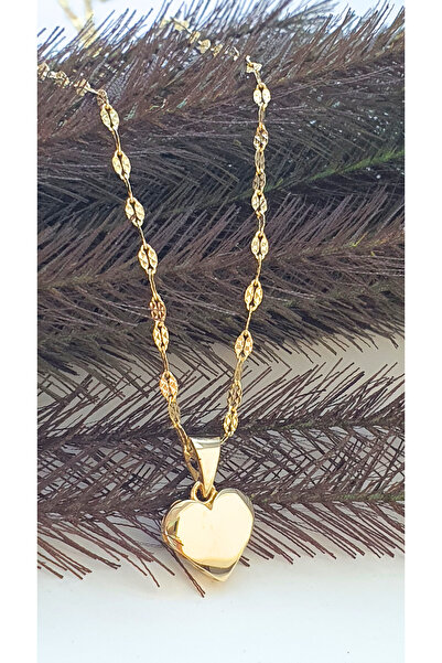 Goldlife jewellery 14 Ayar Altın Kalpli İtalyan Aynalı Kafesli Zincirli Kolye