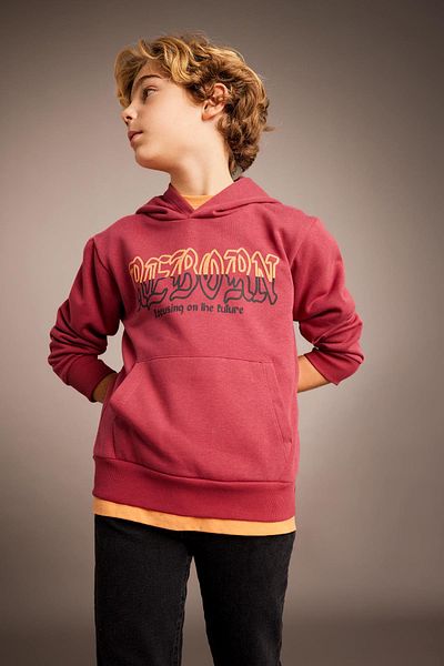 DeFacto Boy's Printed Hooded Thick Sweatshirt B6312a823cw