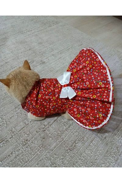 Gobo Cat and Dog Outfit Dress with Colorful Flowers and White Ribbon
