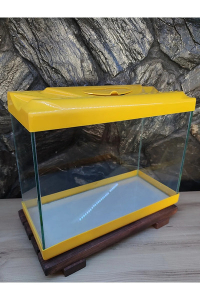 Çınarpetshop akvaryum