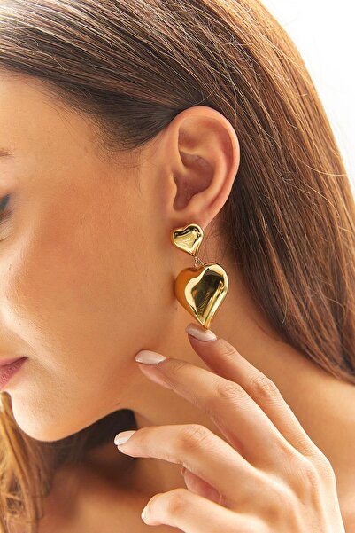 Ebsumu Kadın Çelik Kalp Sallantılı Küpe