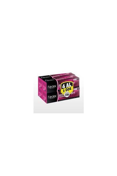 FLODEX Large Size Refrigerator Bag Buy 4 Pay 3
