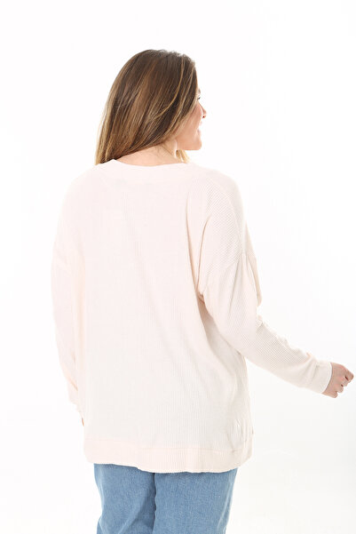 Şans Women's Large Size Powder V-Neck Self-Striped Long Sleeve Tunic 65N37527