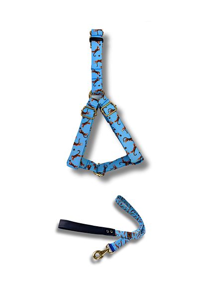 UTDpet Tigerfly Dog Collar and Travel Dispatch Strap Set