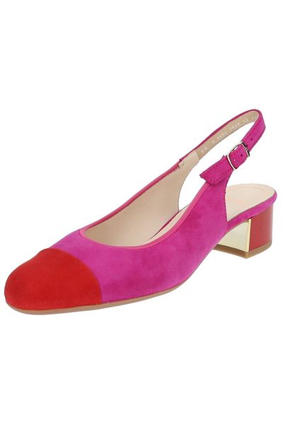 ARA Pumps