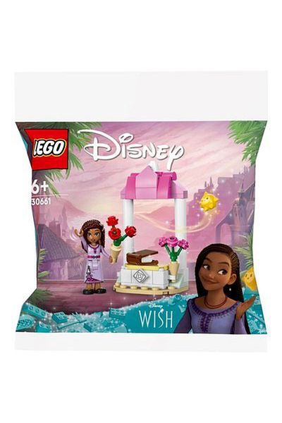 LEGO 30661 Disney Asha's Welcome Stand
