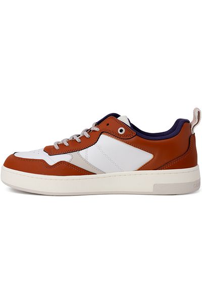 Calvin Klein Basket Cupsole Laceup Hiking Men's Sneakers