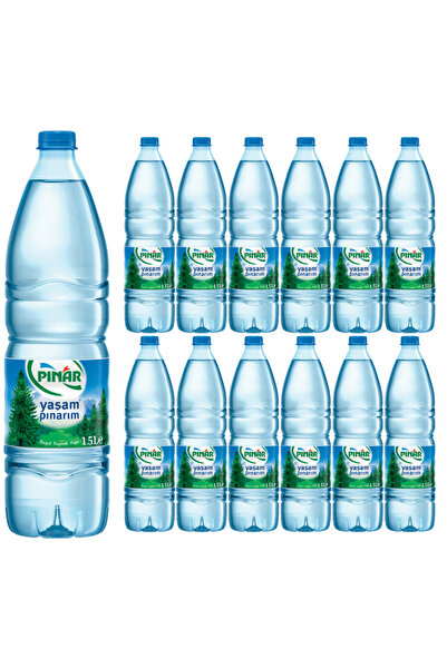 Pınar PINAR SU 1,5 LT 12 ADET PET SU MADRAN KAYNAĞI