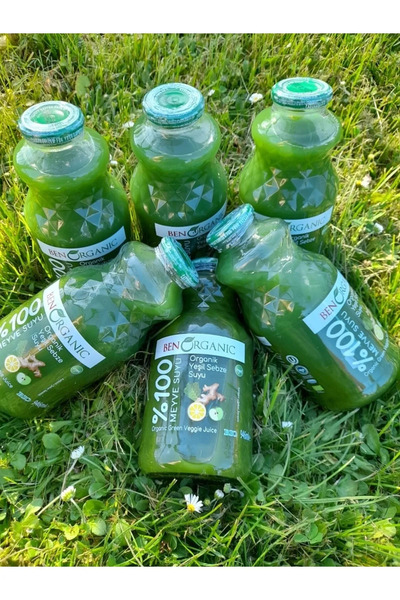 Benorganic BEN ORGANİC ZENCEFİLLİ KARIŞIK MEYVE SUYU 6 ADET