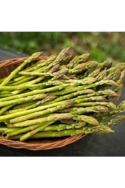 Köy Tohumları 20 Adet Tohumu Organik Yeni Hasat Kuşkonmaz Sebze Tohumları Org...