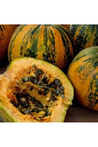 Köy Tohumları 25 Adet Tohum Nadir İthal Kabuksuz Kabak Çekirdeği Tohumu Saksı...