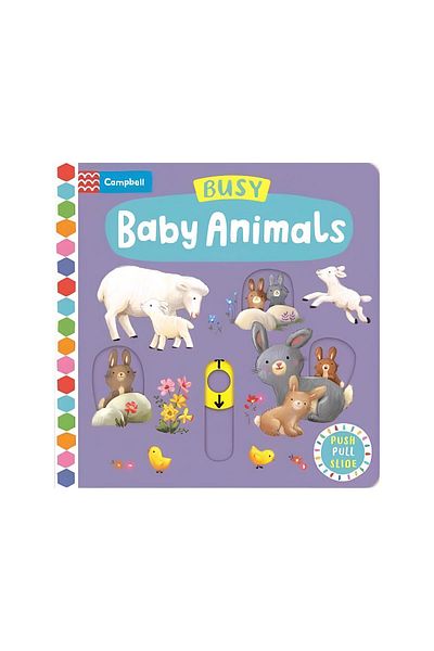 Campbell Books حيوانات صغيرة مشغولة