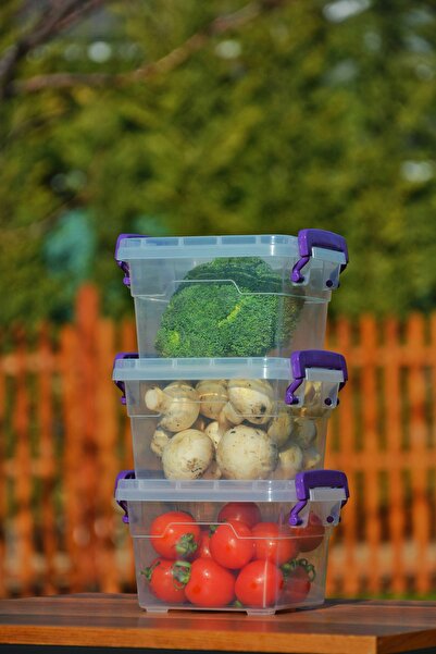 biedda 3'lü Plastik Kilitli Kapaklı Yatay Saklama Ve Erzak Kabı 1,2 Litre Pla...