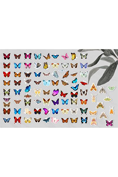 anka design 87 Pieces Mixed Butterfly Sticker Label Set