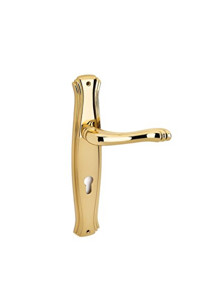 System Vıctorıa Gold Aynalı Kapı Kolu Oda Tipi