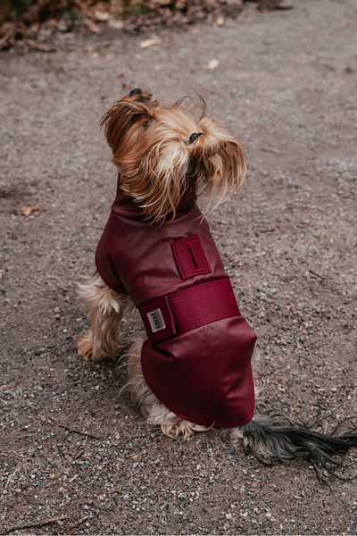 JIMI FOR ALL Bordox Small and Large Breed Dog Raincoat