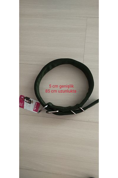 Royalist Dog collar 5 cm 85 cm