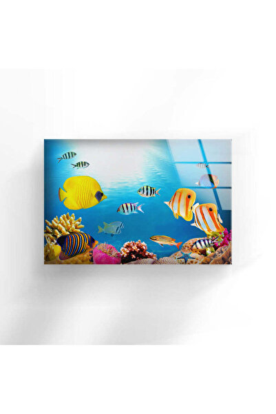 myphotostation Zidna slika od kaljenog stakla za akvarijum