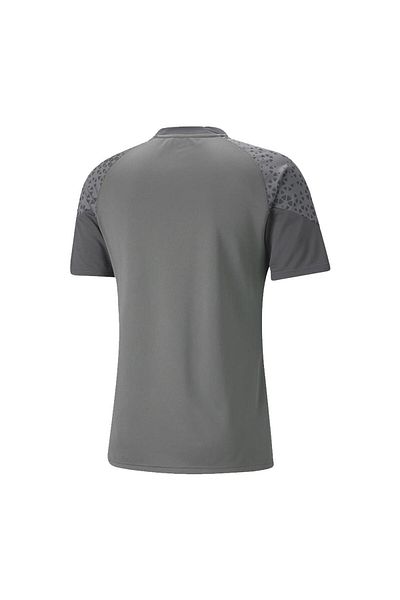 Puma 657984 Teamcup Training Jersey Gray