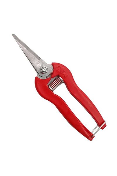 BK Commerce Vineyard Shears Plant Flower Citrus Grape Pruning Shears 19 Cm Flat Tip