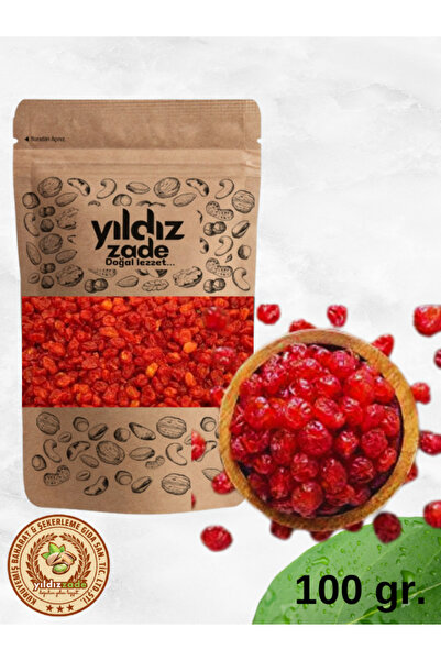 yer çileği kurusu 100 gr