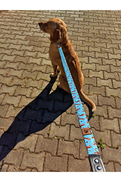 UTDpet Tigerfly Dog Collar and Travel Dispatch Strap Set