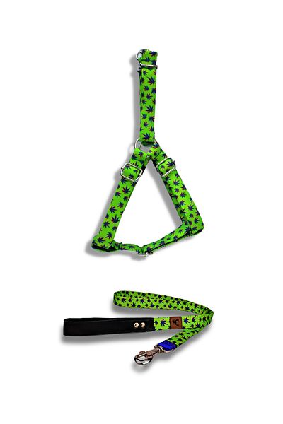 UTDpet Leaves Dog Chest Collar and Travel Transport Strap Set