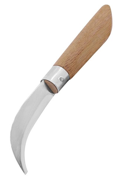 BK Commerce Vaccine Knife 20 Cm Stainless Walnut Vaccine Knife Vaccine Knife No:2