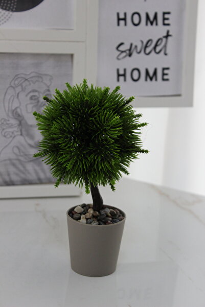 Live House Minik Top Ağaç Dekoratif Çicek