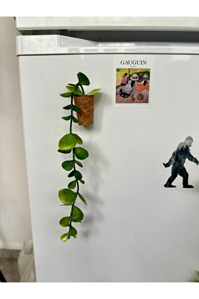 Plantarrium Design Mantar Magnet-Okaliptus