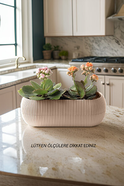 Karasu plastık Karasu Plastik 2 No Uzun Mercan Kaktüs Sukulent Ve Çiçek Saksı...