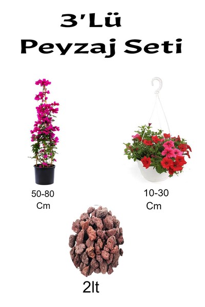 Bitkim Sende 3'Lü Peyzaj Seti Pembe Begonvil Kırmızı Petunya Çiçeği Curf