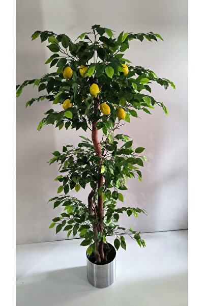 RUZGARCİCEK Rüzgar Yapay Çiçekçilik 180 cm Limon Ağacı