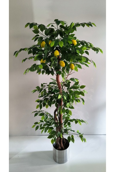 RUZGARCİCEK Rüzgar Yapay Çiçekçilik 160 cm Limon Ağacı