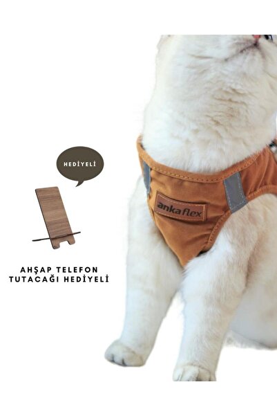 Ankaflex طوق صدر للقطط، طوق سفر للقطط، إنتاج خاص للقطط من الجيل الجديد (بما في ذلك المقود)