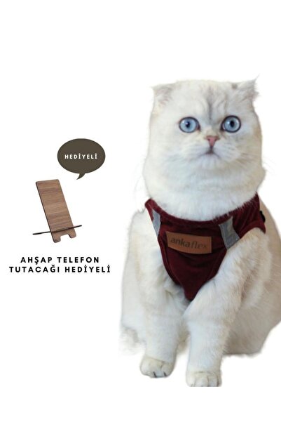 Ankaflex Cat Chest Collar Cat Walking Collar Special Production for Cats New ...