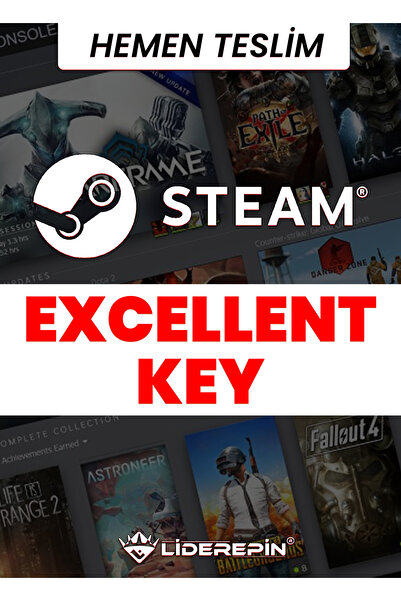 Steam Random (EXCELLENT) Key