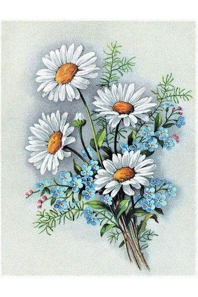 dialands DAISY-38X51CM-DM110