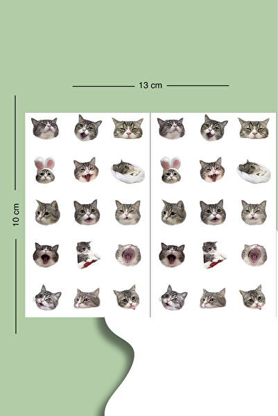 LiyaCraft 75 Adet Kedi Sticker -3 Sayfa Sticker Set Planner Ajanda Bullet Jou...
