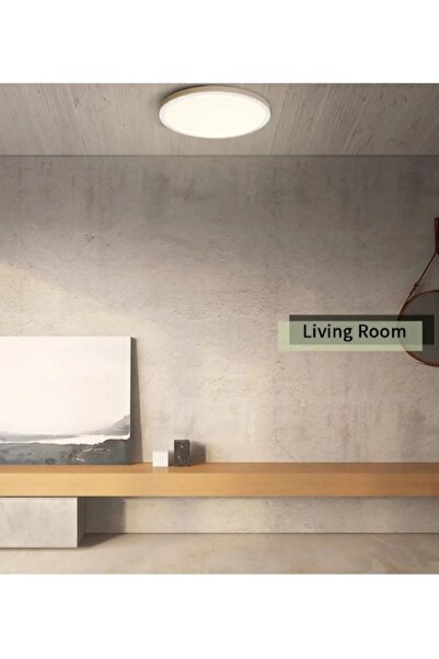 ADALED 24 W Panel Led Avize Sıva Üstü Tavan Glop Tavan Armatürü Salon-balkon Banyo-lambası 3200 K Gun Isıgı