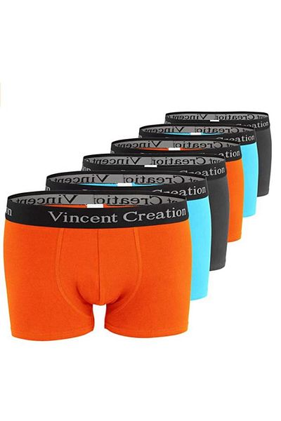 ALEXANDERGARDI 6-Piece Men's Boxer Set - Economic Package (VİNCENTCREATİON-02)