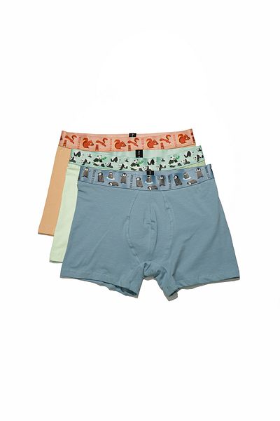 Paul Kenzie Ανδρικά Boxers 3 τεμαχίων - Eco Characters - Ecological