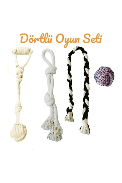 AlyaPetWorld Köpek Diş Ipi Dörtlü Oyun Seti Isırma Kaşıma Ve At Tut Getir Top Oyuncağı