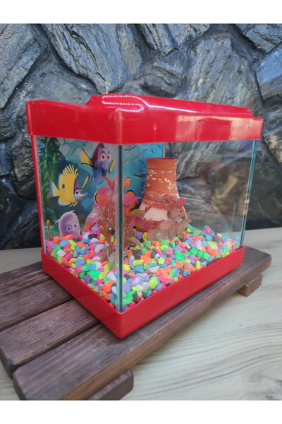 Çınarpetshop Akvaryum Aydınlatmalı Mini Akvaryum Ve Seti